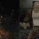 Resident Evil Requiem Leak Shows Capcom's Smart Plan