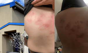 22 Times Bullied and Still Same Class Paradise Elementary Put My Son Back With the Same Kid and It Happened Again